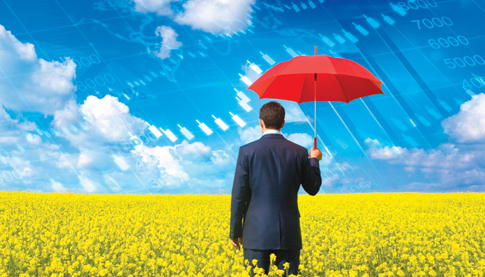Protecting-the-Commodity-Marketplace-Image.jpg