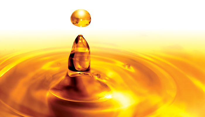 Fuel From Waste