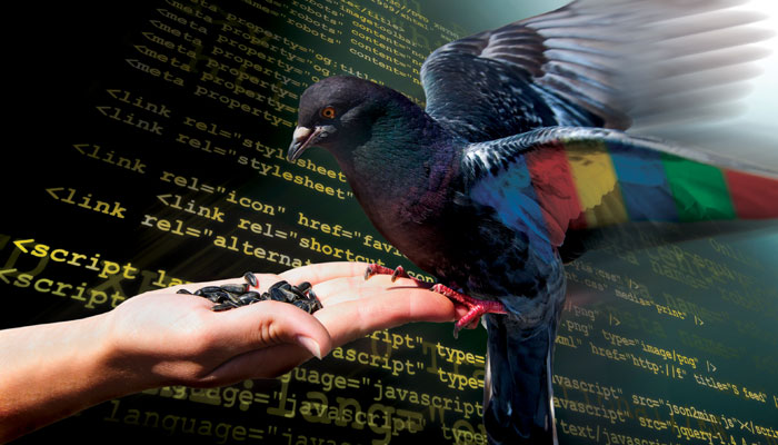 Google Algorithms and Local Search