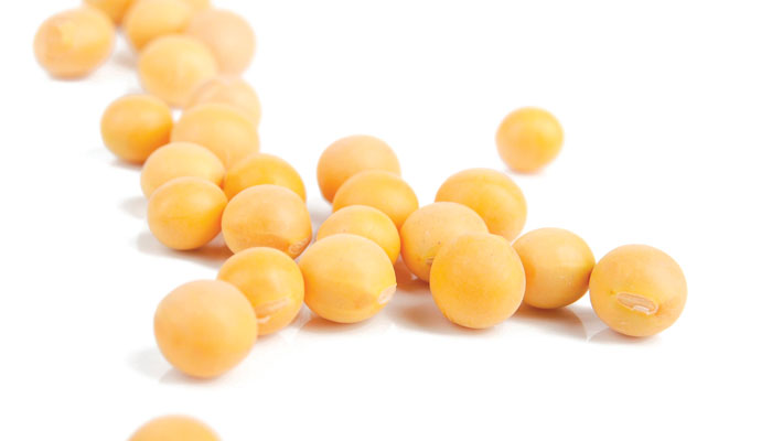 Dealers Can Manage B20 Transition