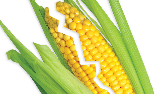 Dissension Grows Over Biofuels Rules