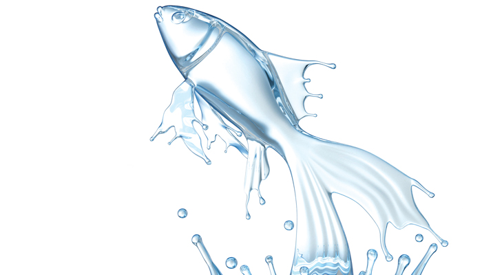 Can-Hydropower-and-Fish-Coexist-Image.jpg