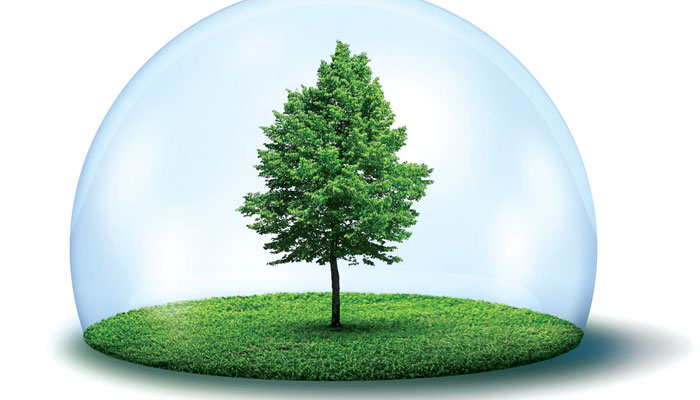 California Air Resources Board Gives Biodiesel Highest Rating