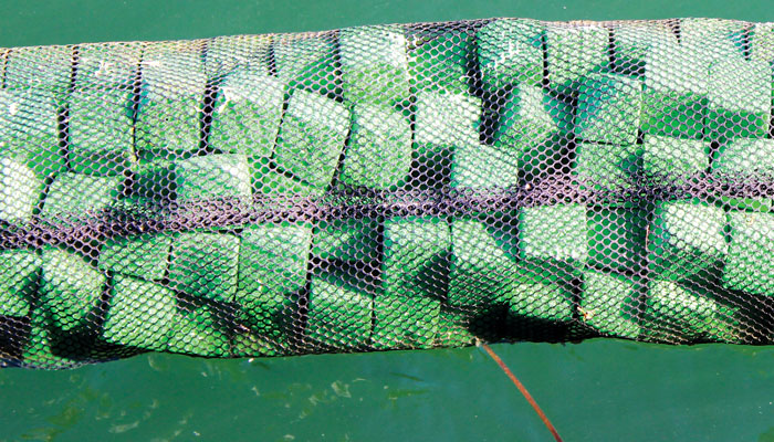 Massachusetts-Company-Sells-Advanced-Oil-Spill-Sol