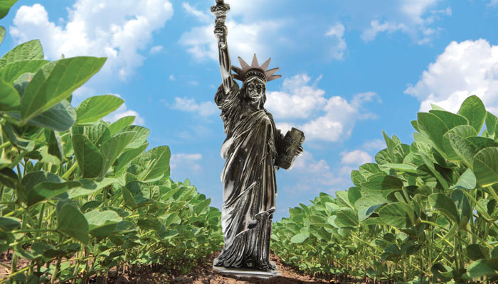 NYC Moves Closer to B5 Standard