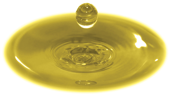 Biodiesel 2016 – Strength & Certainty