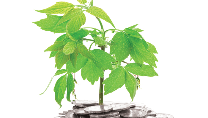 May2016_CoinPlant.jpg