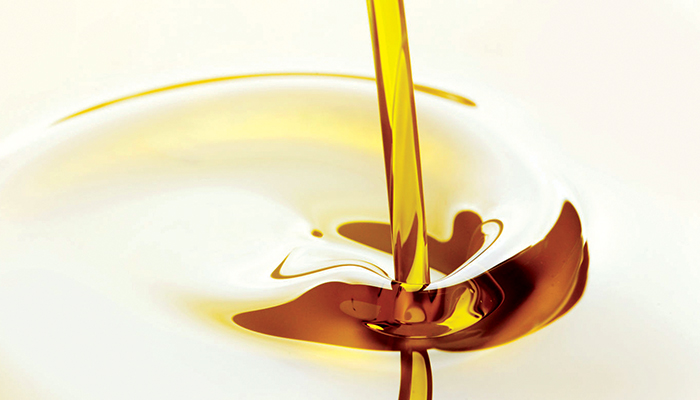REG Energy Services Brings Biodiesel Downstream