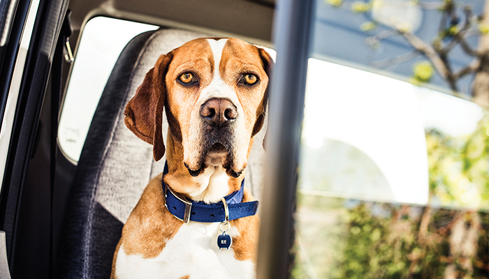 Propane Industry Launches $10 Million Consumer Campaign