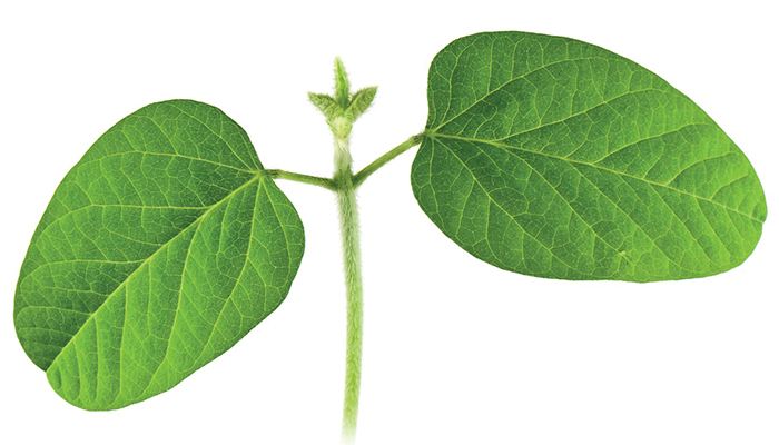 Study Indicates Carbon Benefits of Biodiesel Are Increasing