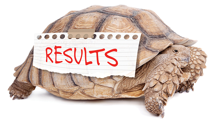 Drug Test Results Can Take a Long Time