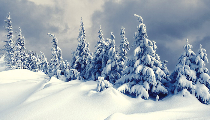 Weather Forecast Favors a Colder Winter