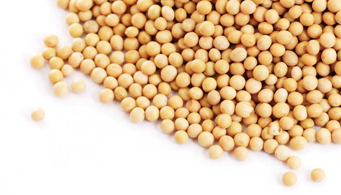 GAO Criticizes Renewable Fuel Standard