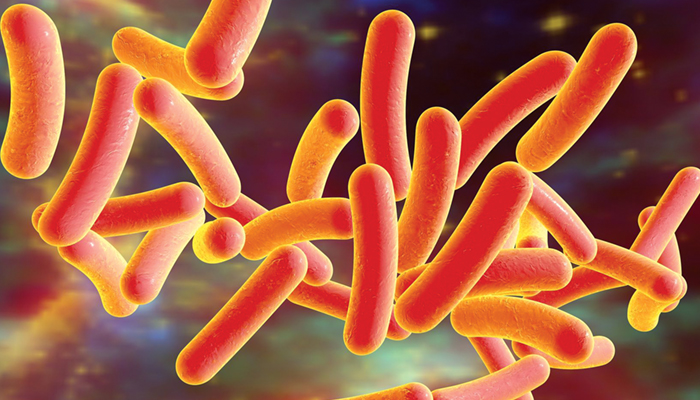 Beware of Misinformation on Ultra-Low Sulfur Heating Oil