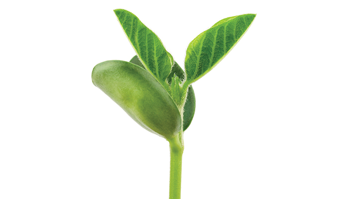 NYOHA Hosts Soy Bean Growers