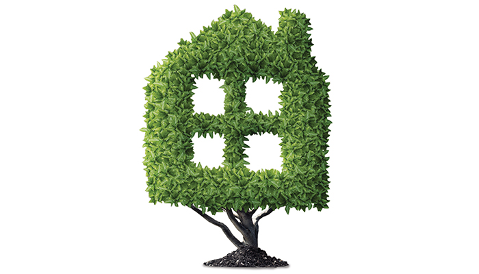 NBB Releases Data on Bioheat’s Positive Effects on Emissions