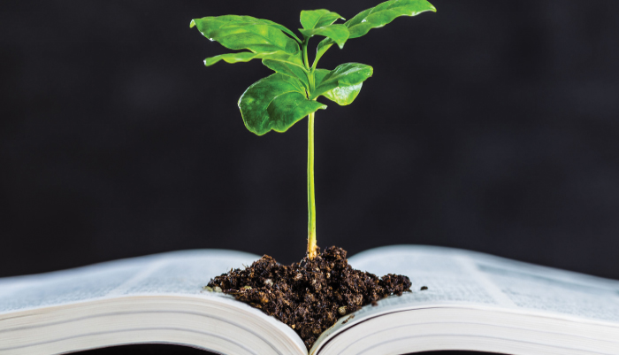 NY Governor Signs Downstate B5 Law