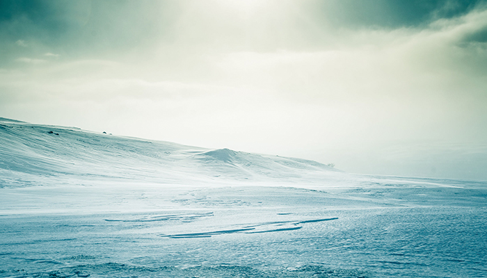 artic.jpg