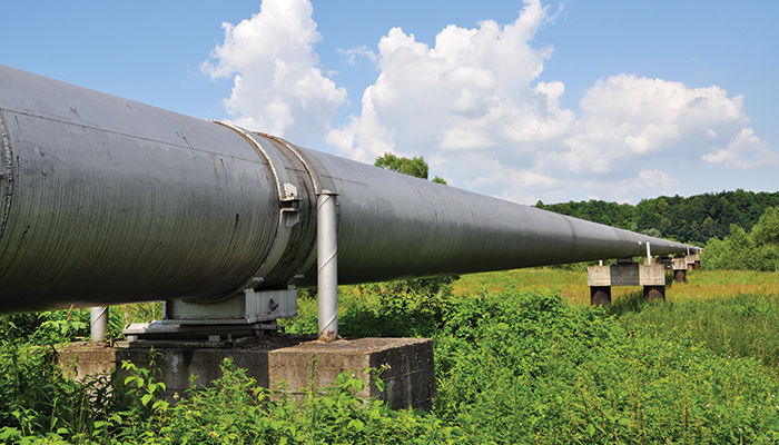 The Buck Doesn’t Stop Here