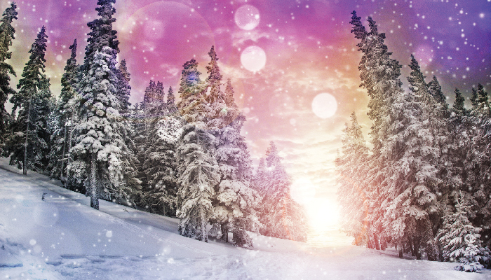 Winter Weather Forecast 2018-2019