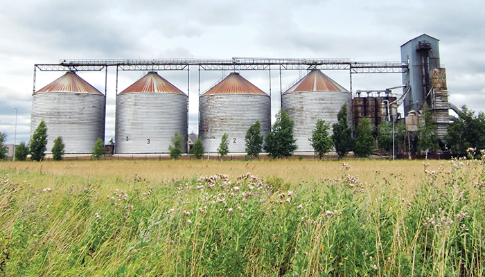 Biofuel Feedstock Overview