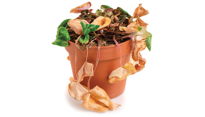 Industry Strongly Criticizes EPA Biofuel Proposal