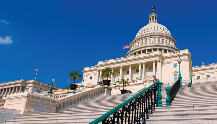 Policy Pressures Rising