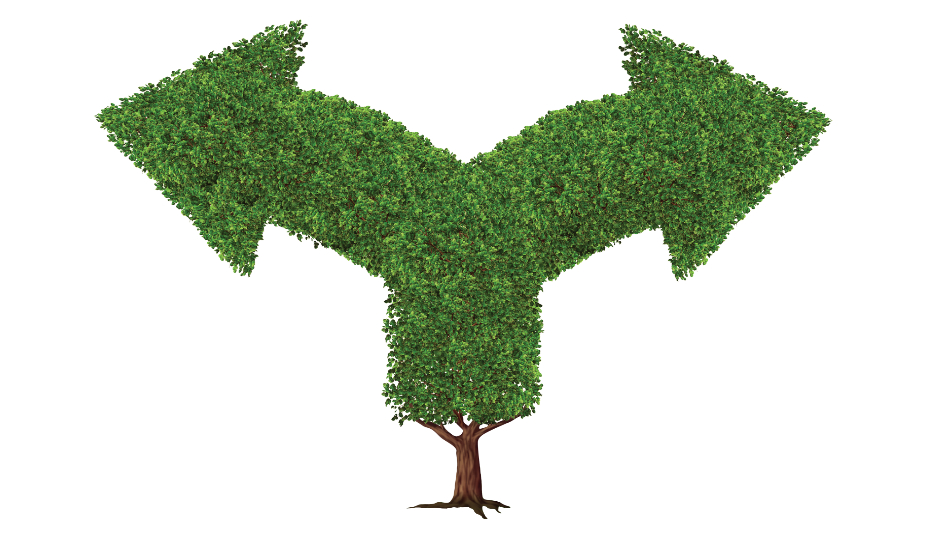 branches.jpg