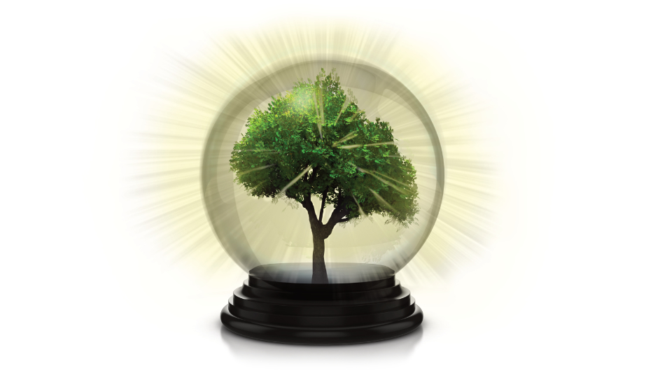 BP Aims for Net Zero by 2050