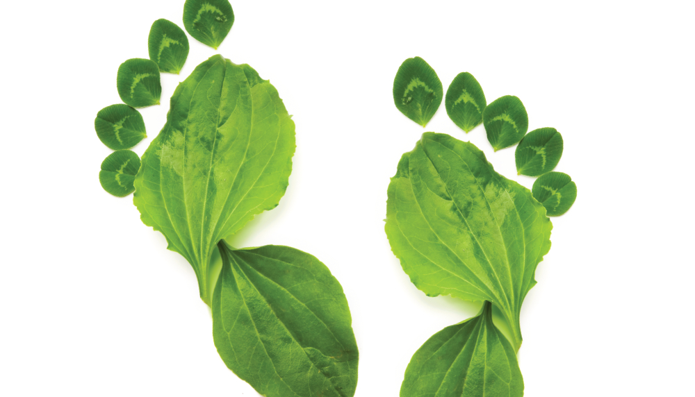 “Net-Zero 2050 Road Map” To Be Presented at Virtual HEAT Show