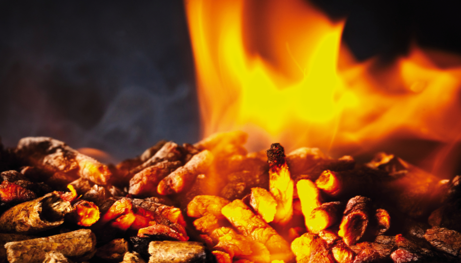 Are Wood Pellets Speeding Up Climate Change?