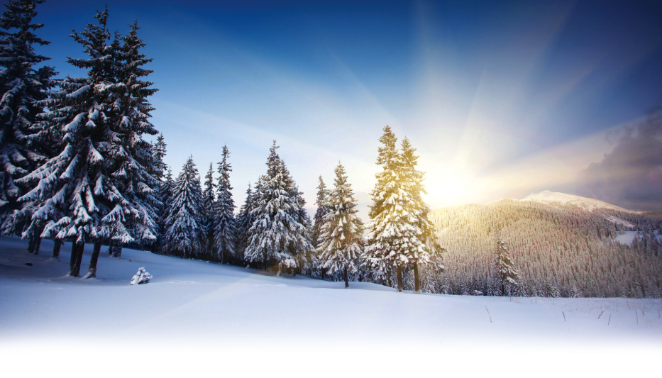 La Niña Winter Unfolds But Not Without Surprises