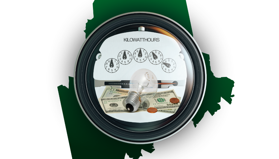 Power to the … International Corporate Ownership?