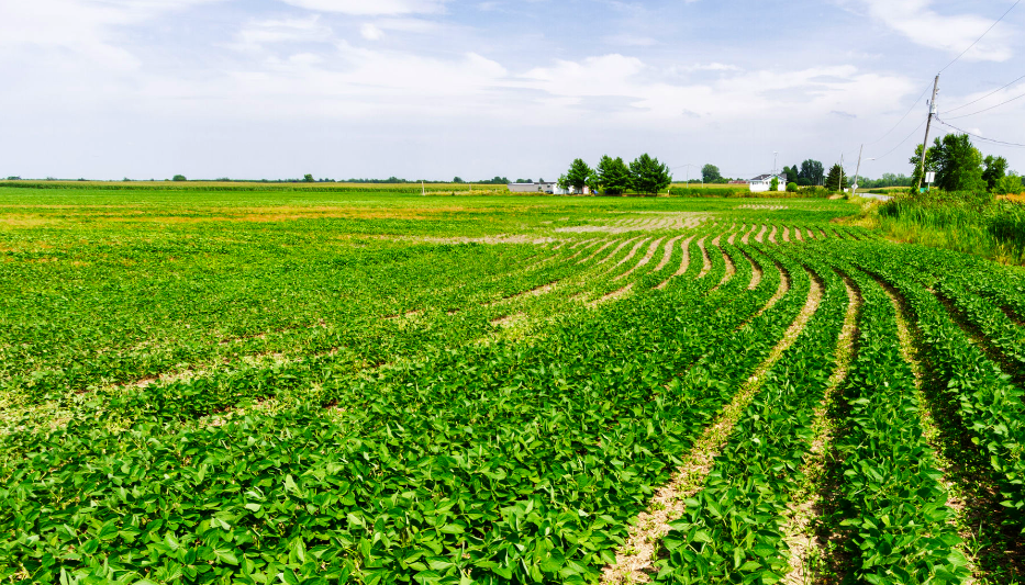 The Clean Energy Economy Has Arrived