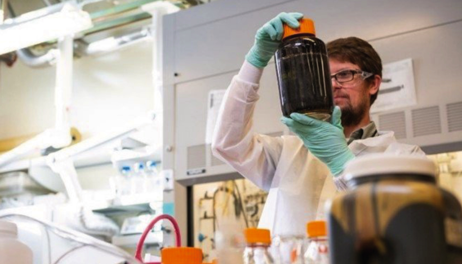 Human Biofuel