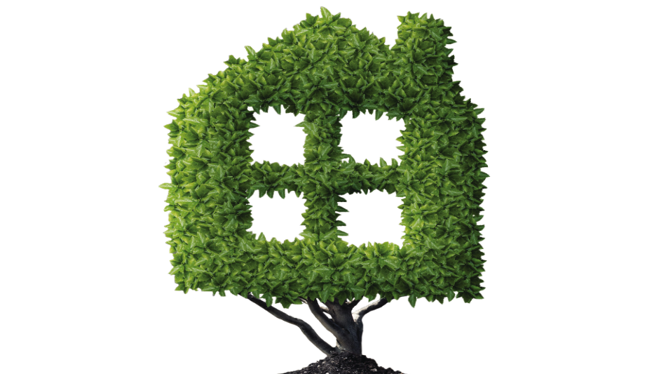 Renewable Portfolio Standards Chart