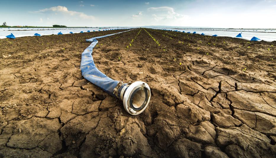 Western Drought Hits Extremes