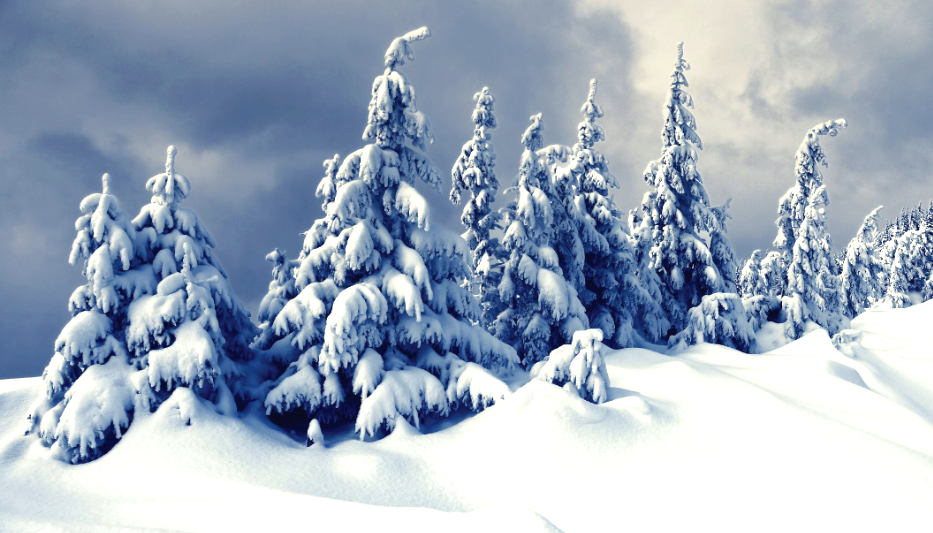 Do These 6 Things NOW