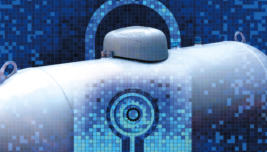 Secure Your Propane Tanks with  a High Security Locking System