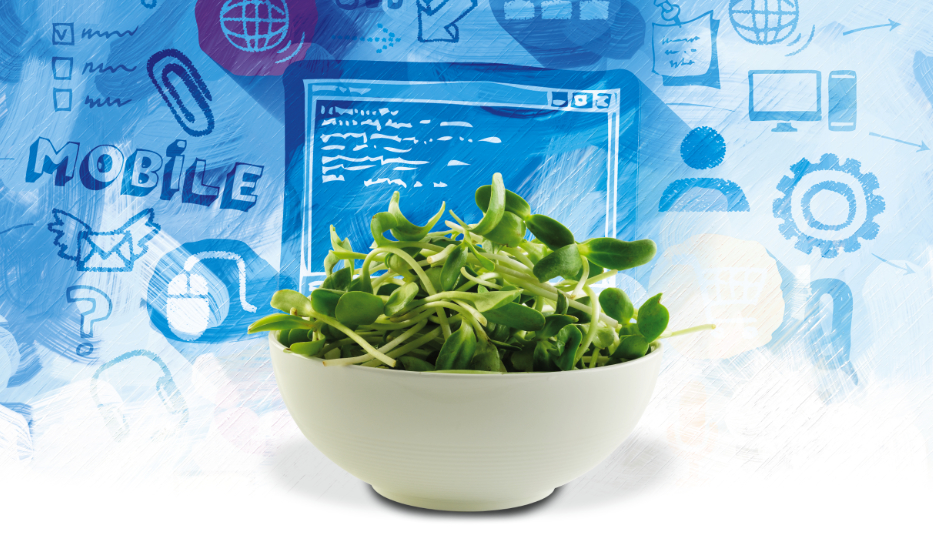 Marketing to the “Messy Middle”