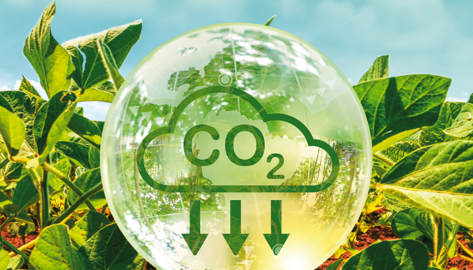 Corporate Responsibility and Growth at Chevron Renewable Energy Group