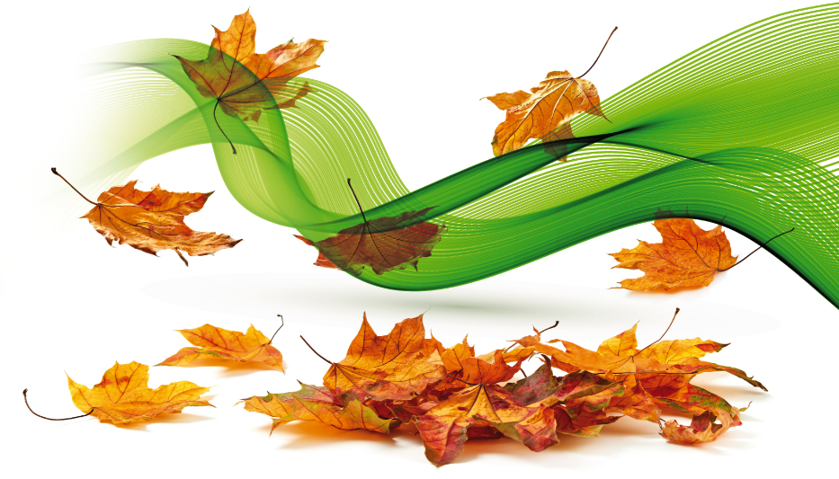 The Season of  New and Approved