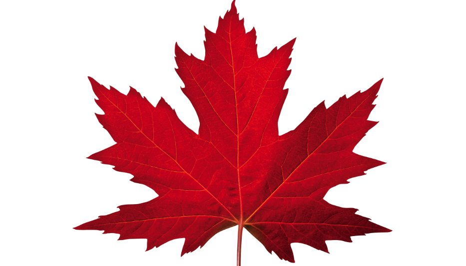 Canada Passes Clean Fuel Regulation