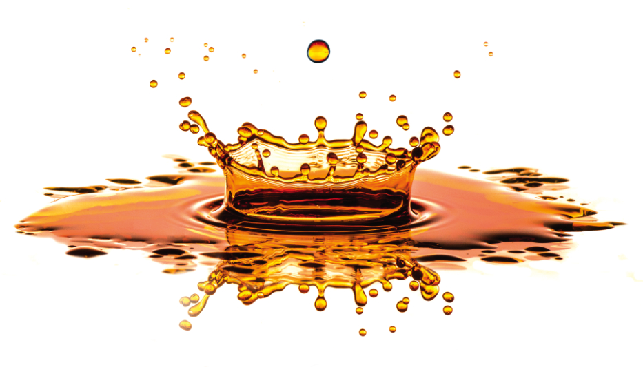 Supply and Demand Report: Used Cooking Oil