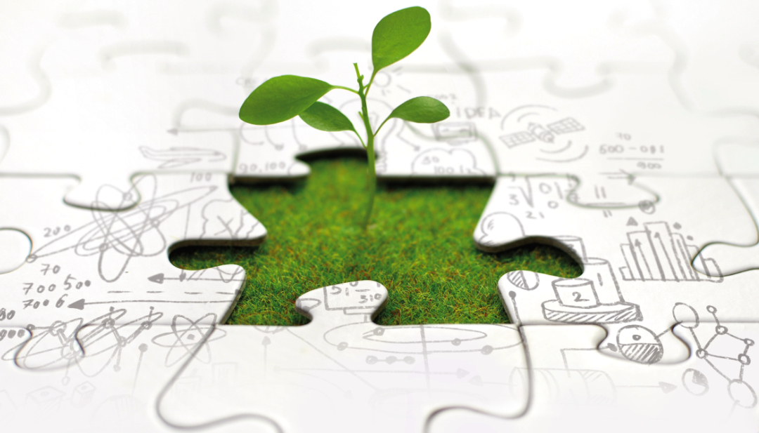 Capital Allocation Strategies for Sustained Growth in an Energy Business