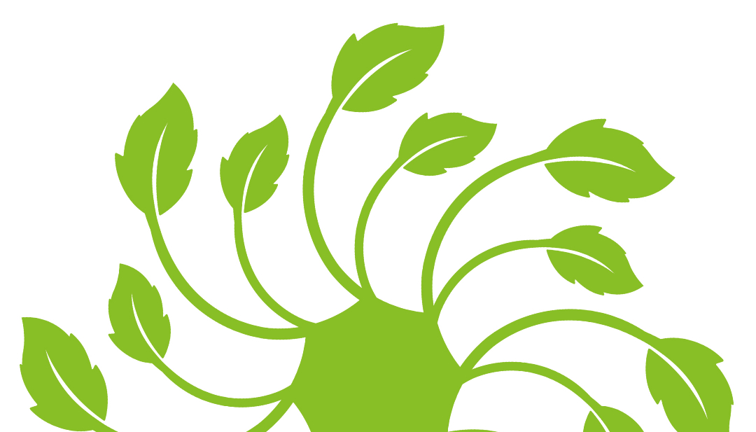leafCycle.jpg