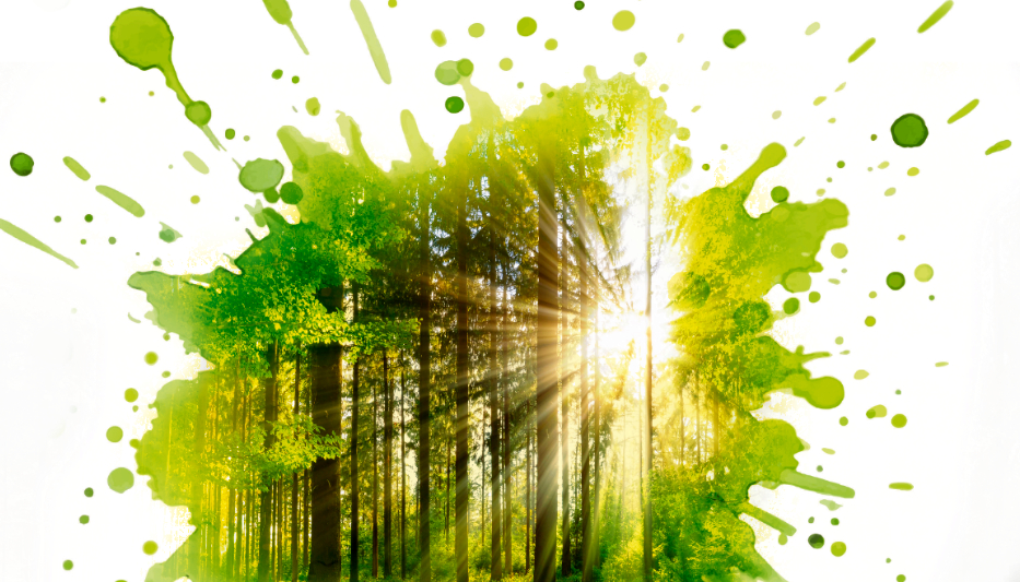 Carbon Offsets: Still Too Good to Be True