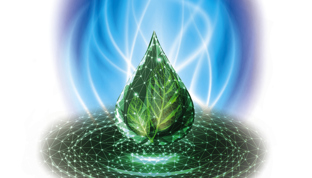 From Blue Flame to Biofuels