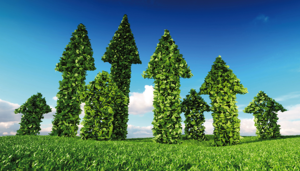 New Burners Take on All Fuels!