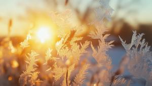winter